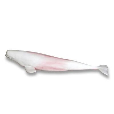 Bandi Beluga Figur, beliebtes Spielzeug in Korea