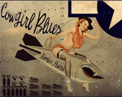 

Cowboy Blues World War Bomber Pinup Girl Sexy Man Cave Decor Metal Tin Sign New 20x30cm（7.8x11.8inch）