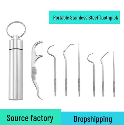 Portable Stainless Steel Toothpick & Floss Holder - Metal Tooth Gap Cleaning Tool