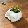 Artistic Cat Plant Holder 3D Printed Sleeping Flowerpot, Mini Desktop Planter, Gift for Lovers Decorative Succulents Small Green Plants Planter