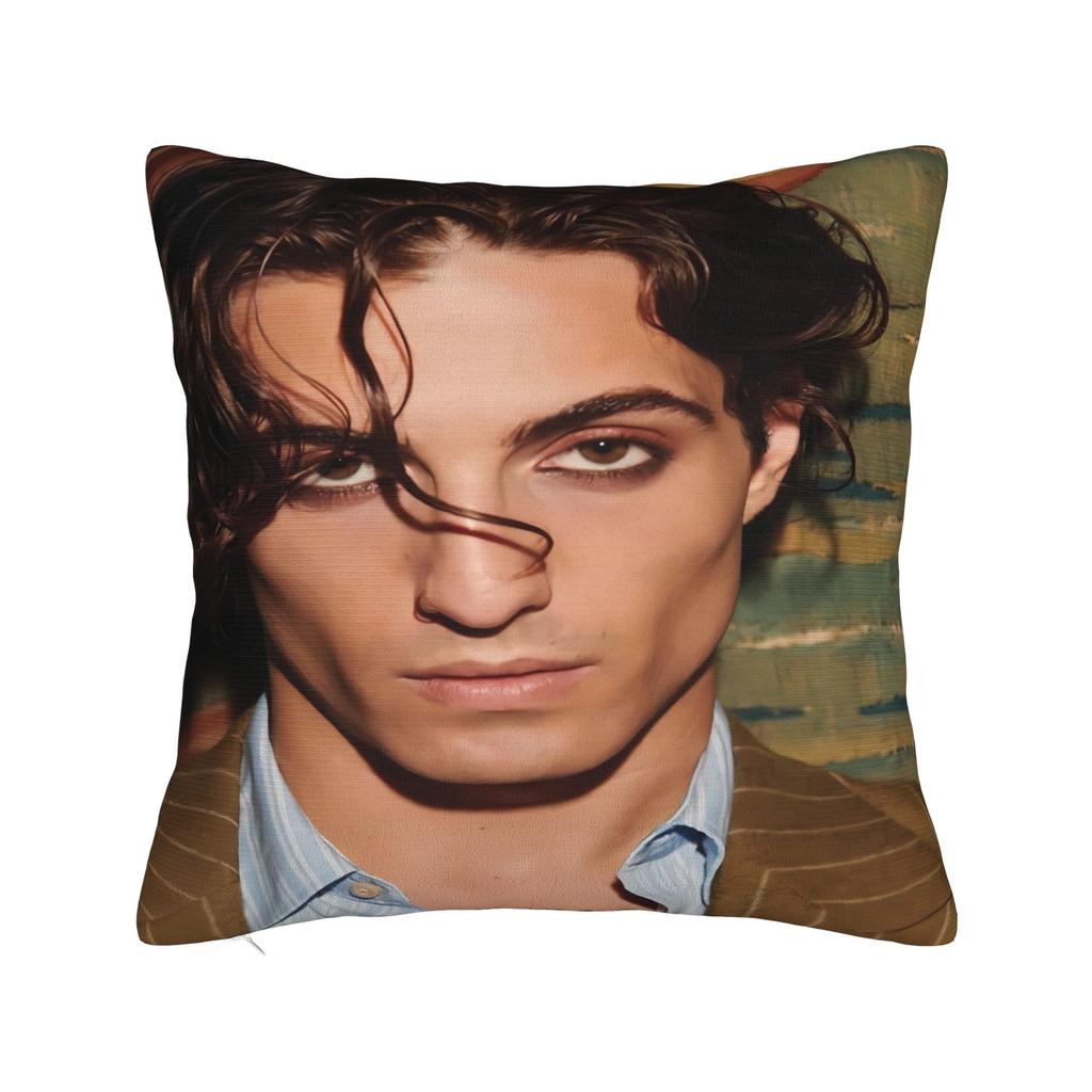 Damiano David Pillow Case  Retro Trendy Pillow Cover Soft Pillowcases For Living Room Chair
