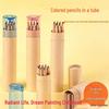 Log Color Pencil Holder & Brush Set with Sharpener - 6 Pencils, 12 Colors, Customizable Logo