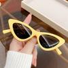 Kid Retro Cat Eye Beach Summer Sunglasses