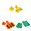 Numbered Plastics Livestock Ear Tags 1-100 Animal Tags Green Yellow Orange Large Identification Tags for Goat Sheep