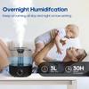 Household Desktop Air Humidifier Professional Large Capacity Plant Mist Aroma Diffuser With Remote Control Timer