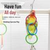 Parrot Climbing Ring Toy - Multicolor Birdcage Accessory for Beak Grinding & Biting