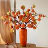 Persimmon Fruit Flower Arrangement: New Year's Dried Floral Decoration