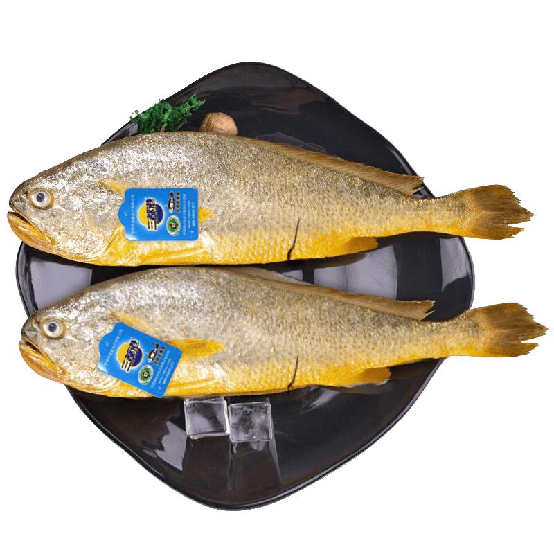 Sandu Port Yellow Croaker Seafood
