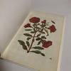 [USED] Collection of Works: Maria Sibylla Merian NEW BOOK OF FLOWERS