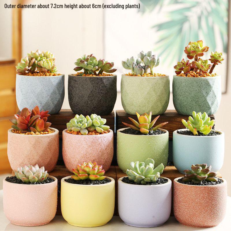 Breathable Ceramic Indoor Succulent Planter Set - Creative Small Flower Pots