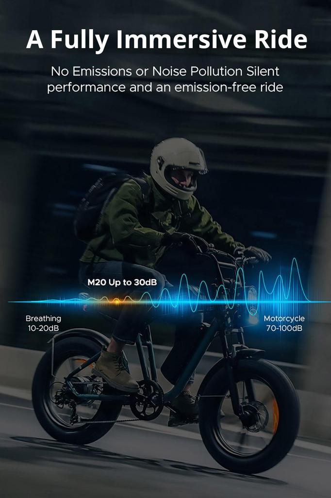 ENGWE M20 2*13Ah Batteries 20*4.0 inch Tires 750W Brushless Motor 45km/h Max Speed Front & Rear Disc Brakes