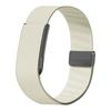 Adjustable Bicep Bands Stretchy Sport Arm Band New Replacement Strap for Whoop 5.0 Fitness Tracker