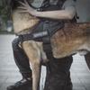 Taktische Hundeweste Training Militär Patrouille Diensthunde Geschirr Verstellbares Nylon Hundegeschirr mit Griff Hund Sommerkleidung