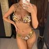 6 Colors S - XL Sexy Push Up Bikini Women Swimwear Female Swimsuit Two-pieces Bikini Set Bra Cup Bather Bathing Suit