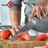 8 Inch Japanese Damascus Stainless Steel Chef Knife 67 Layers VG10 Steel Damascus Kitchen Chef Knife G10 Handle