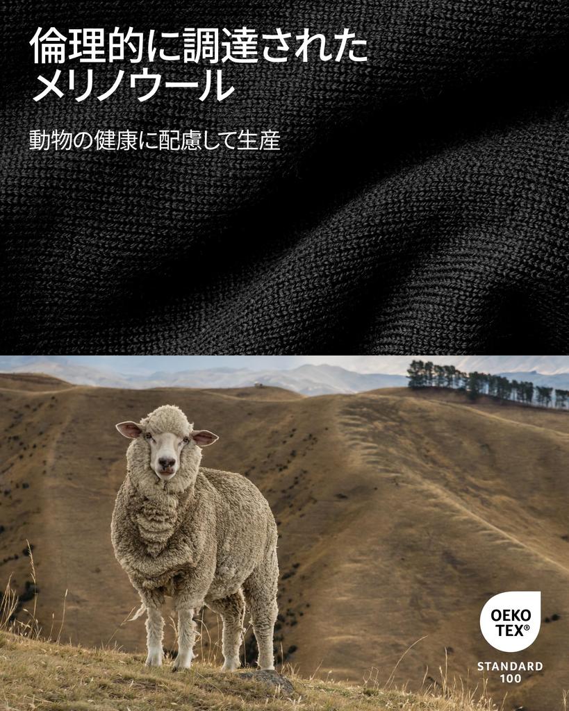 DANISH ENDURANCE Hřejivé spodní prádlo a tričko z merino vlny a pánská sada velikosti L, prodyšné, antibakteriální, odolné proti zápachu, legíny s dlouhým rukávem, černé/tmavé