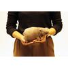 Yoshitoku Riku No Nakama-tachi Plush Hippo S 180190 20cm Soft Toy
