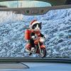 Motorcycle Cat Acrylic Hanging Decoration Home Indoor Christmas Tree Car Rearview Mirror 2D Flat Riding Kitten Hanging Ornament Cartoon Animal Pendant