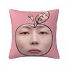 R-Roh J-Jae Won Pillowcase Product Printed Cushion Cover Decoration Pillow Case Cover Home Multi-Size