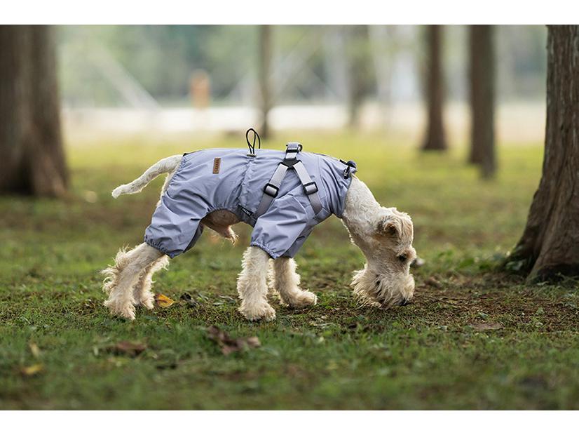 Medium & Small Dog Raincoat with Leash Hole - Waterproof & Reflective Puppy Jacket
