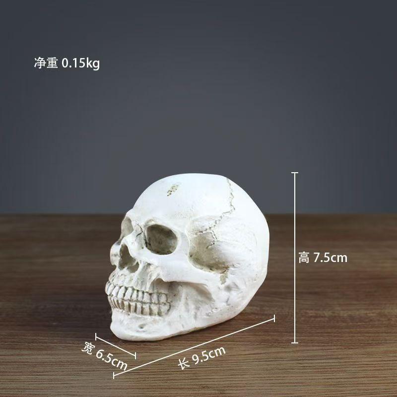 

Модель черепа из смолы Реквизит на Хэллоуин Учебный череп Медицинский череп Креативное прикольное украшение