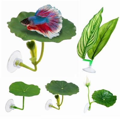 Ventouse Reposoir Feuille Poisson Combattant Plastique Plateforme Grenouille Habitat Frai Poisson Plante Ornementale