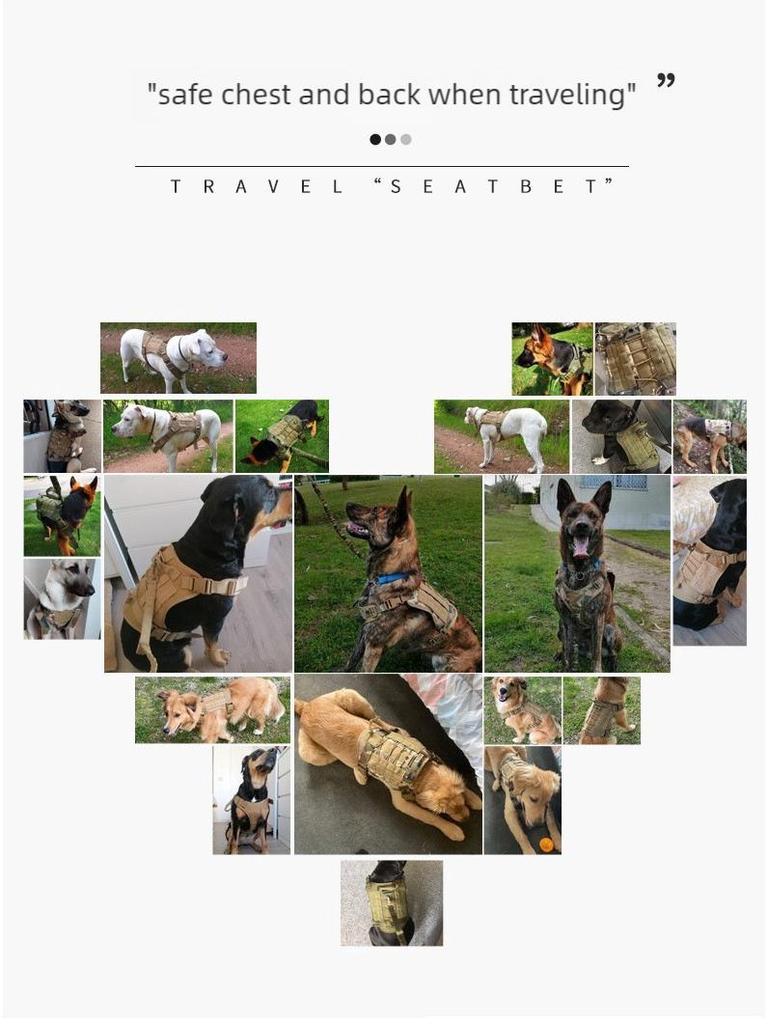 Outdoor Tactical Dog Harness with Leash, Vest & Clothing - Nylon Military Training Gear