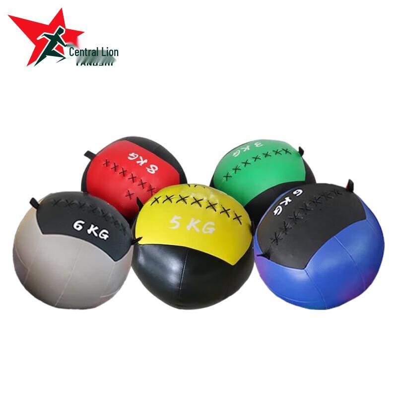Yangshi Fitness Weighted Wall Ball