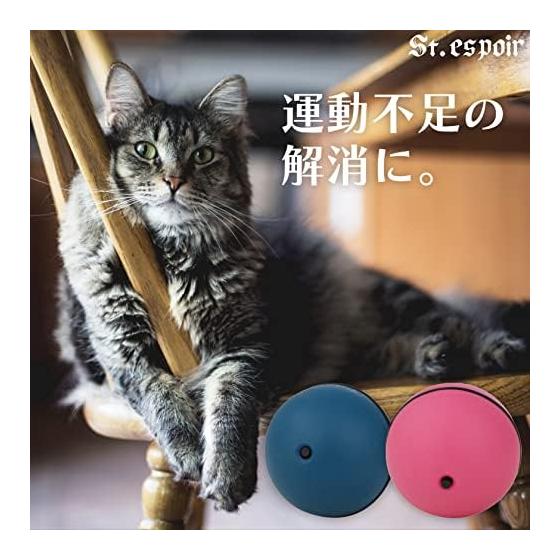 Cats Get Excited When They Roll Around In All Directions. Electric Cat Play Ball, Blue, Battery Operated (batteries Sold Separately)