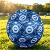 Brighton & Hove Albion FootballPrinted Size 5 Soccer Blbion Football, Anti Slip Adult Match Football Souvenir for Football Fans