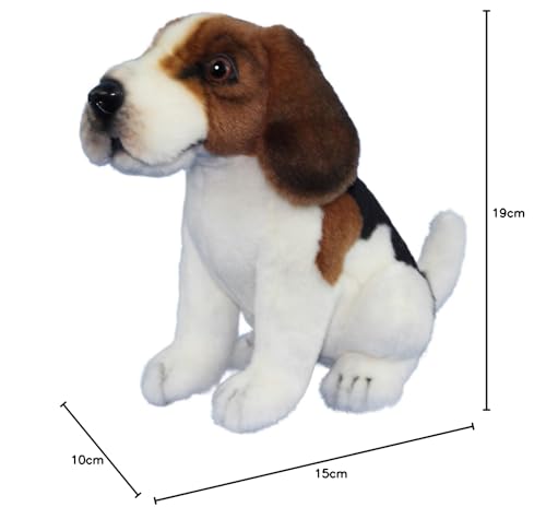 BH8420 HANSA TC Beagle 15