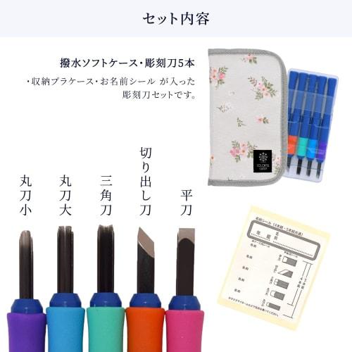 COLORFUL CANDY STYLE Carving Knife Set (Right-Handed), Water-Repellent, Lightweight, Shinkansen and Railway World Design in Gray, with Sakura Grip Car