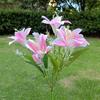 7 Heads Solar Flowers Garden Lights Solar Powered Waterproof LED Outdoor Flower Decor LED Lights Simulation Flower Lamp