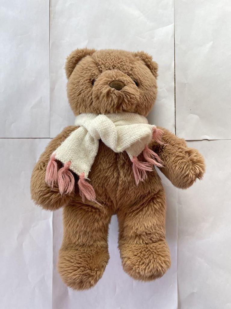 [USED] Teddy Bear