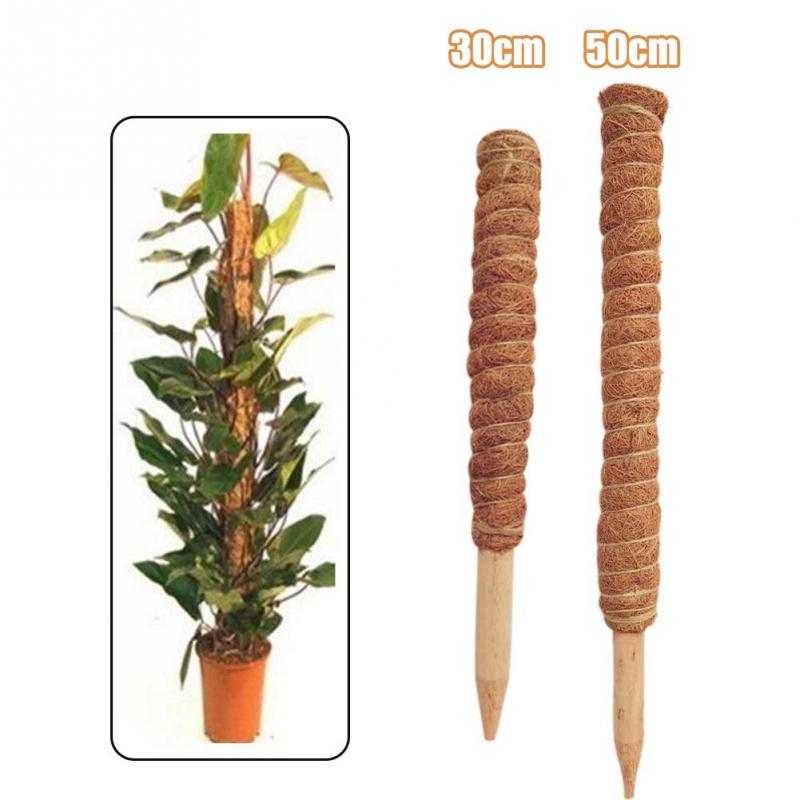 Plant Climbing Coir Totem Pole Safe Gardening Coconut  Stick For Climbing Plants Vines And Creepers Plant Support