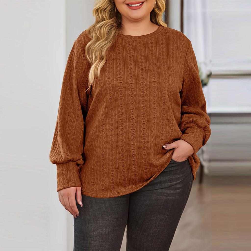 Women's Fashion Casual Solid Color Oversized  Long Sleeve Loose Fit Top