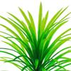 Aquarium Landscaping Simulation Water Plants CX30