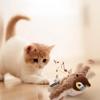 Hot Cat Interactive Toys Catnip Electric Pat Bird Dog Cats Touch-Activated Squeaky Plush Toy Pet USB Rechargeable Cat Toy