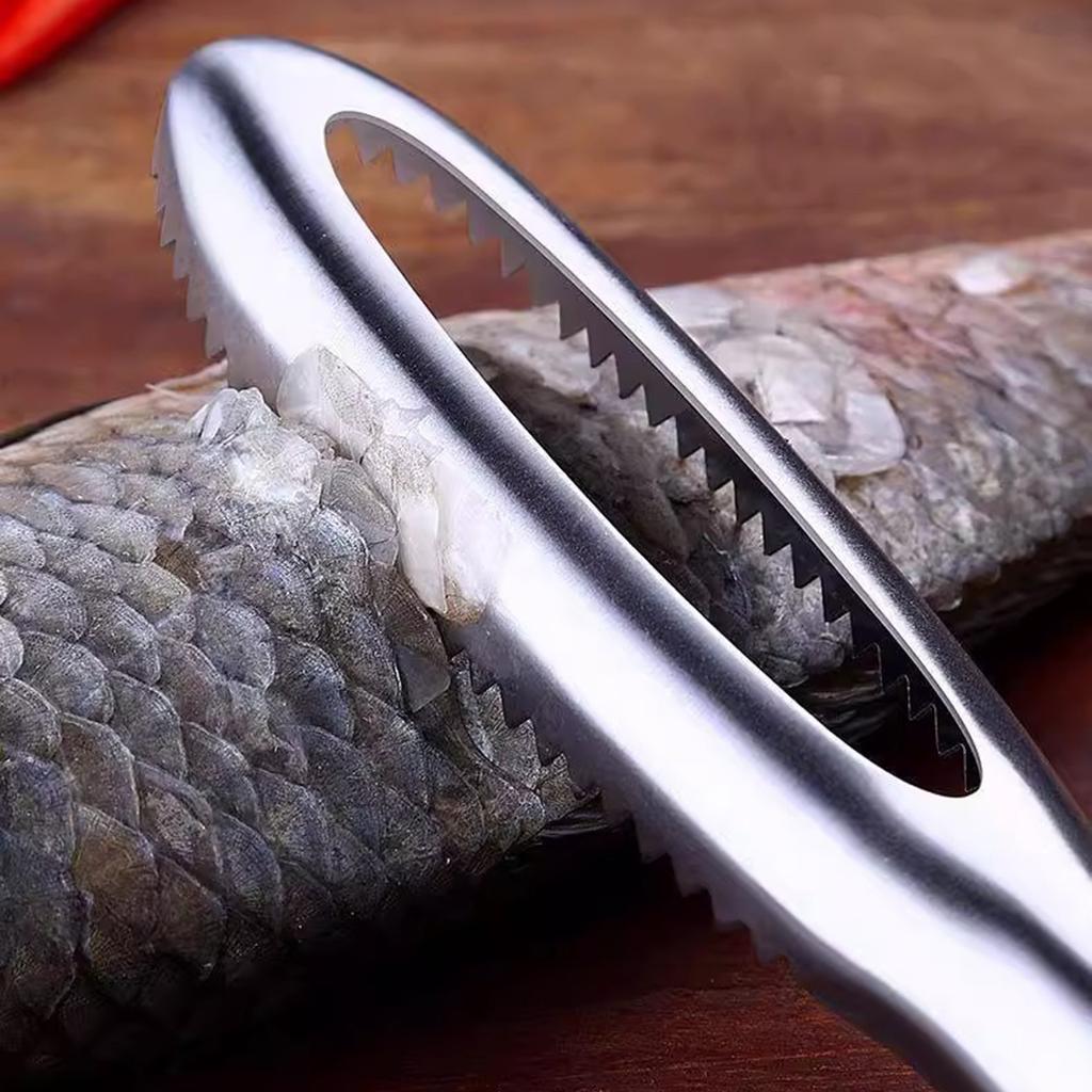 Scale Scraper, Household Stainless Steel Manual Scale Remover