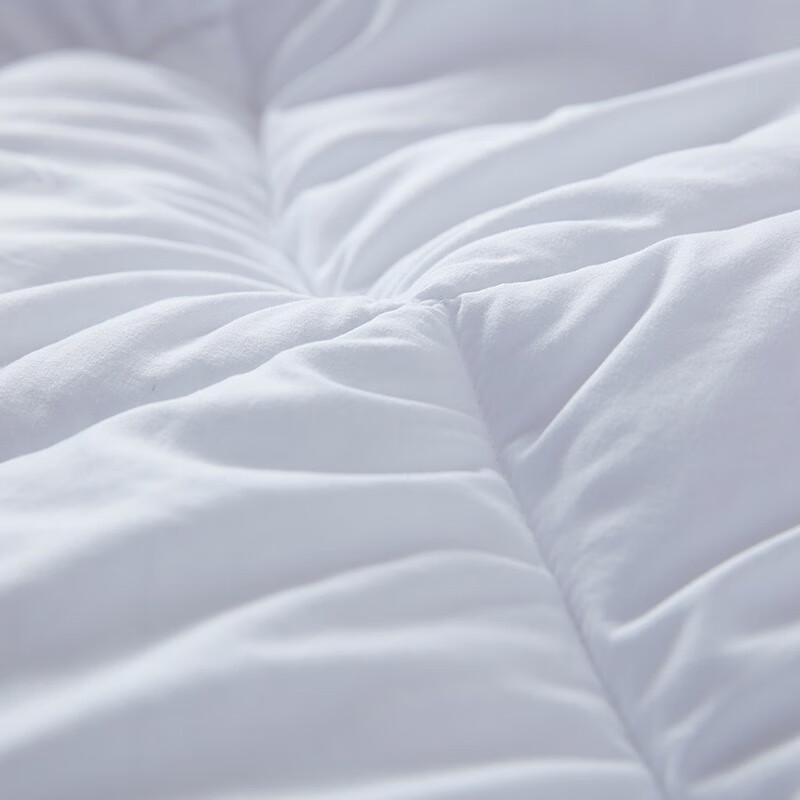 Mengjie Soft & Fluffy 2-in-1 Quilt