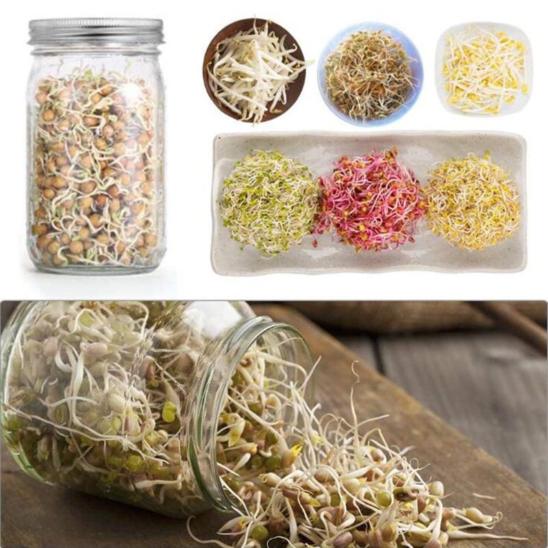 Organic Glass Wide Mouth Mason Jar Sprouting Kit 16 & 32oz Seed Germination Set with Stainless Steel Screen Lids