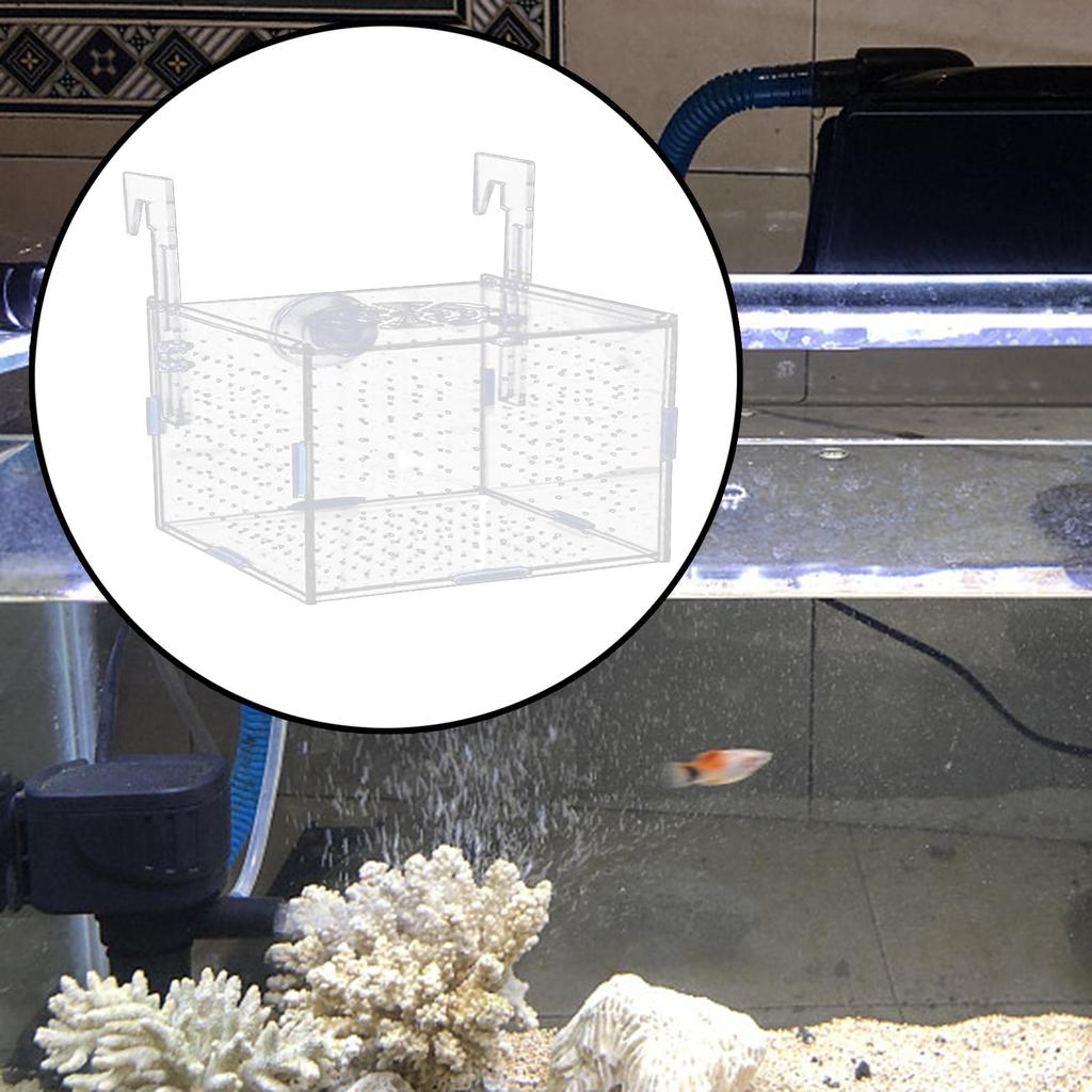 Aquarium Isolation Box Fish Hatchery Isolation Box Acrylic Reusable Aquarium Accessory for Guppy Baby Prawn Aggressive Fish