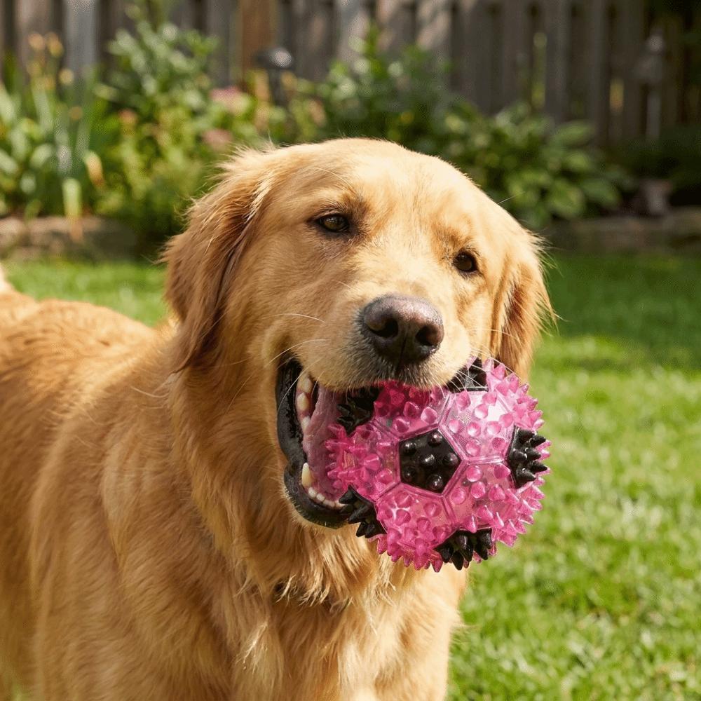 Colorful Dog Chew Ball Elastic TPR Spiky Massage Ball Funny Squeaky Dog Toy Chasing Game