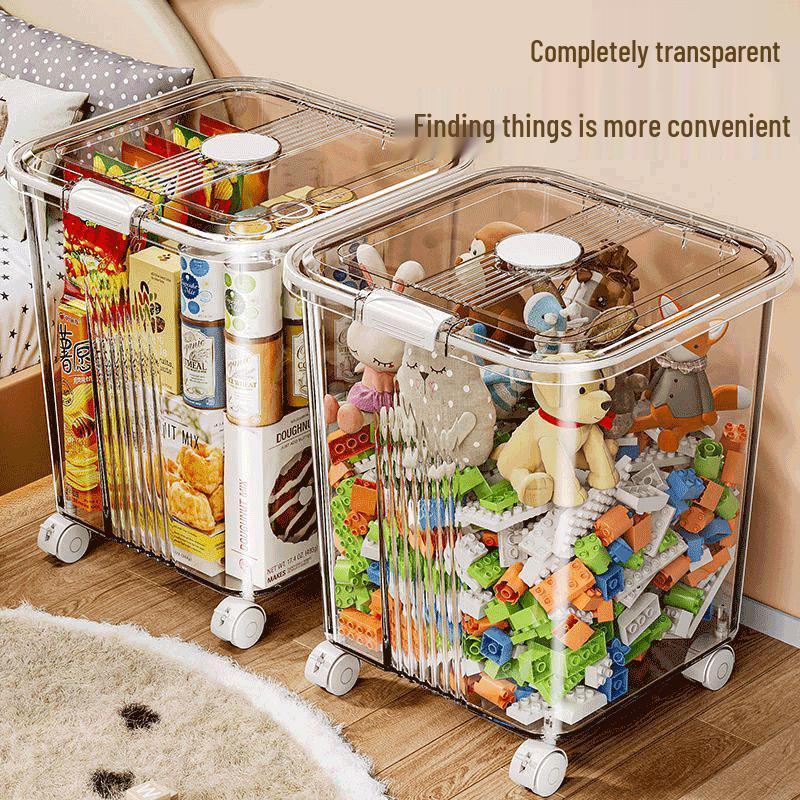 Transparent Storage Box