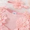 3D Blume Sommer Baby Mädchen Romper Prinzessin Mesh Neugeborene Kleidung Spitze Patchwork Rüschen Body Kleid Stirnband Kinder Kleidung