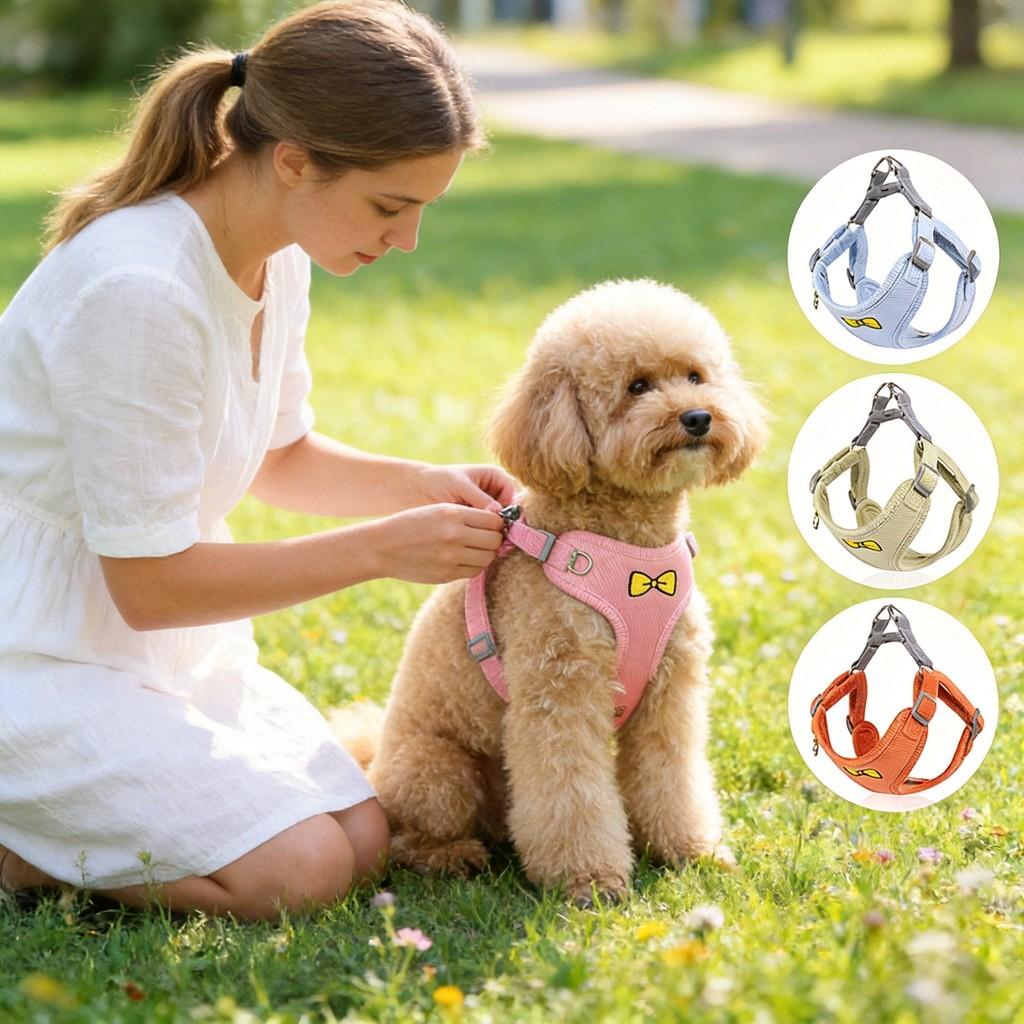 Pet Harness For Small Dogs Breathable Chest Vest With Adjustable Leash For Walking And Training