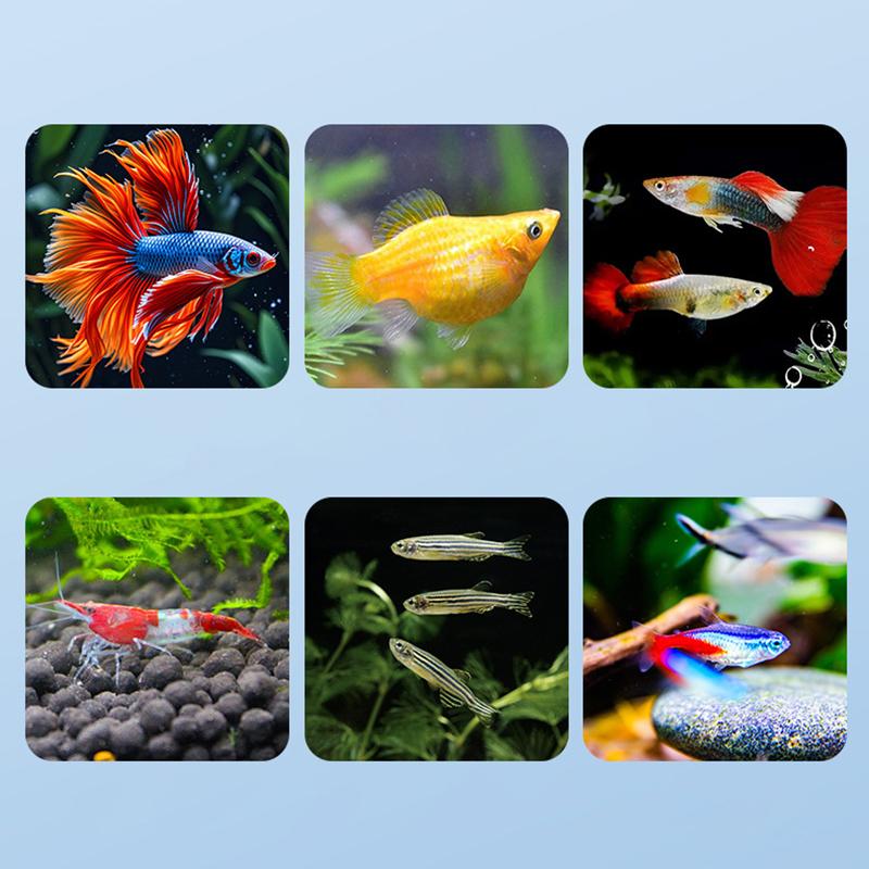 Scatola di Isolamento per l'Allevamento di Pesci Galleggianti Acquario Incubatrice per la Schiusa Incubatrice per la Schiusa Mangiatoia Incubatoio per Acquario