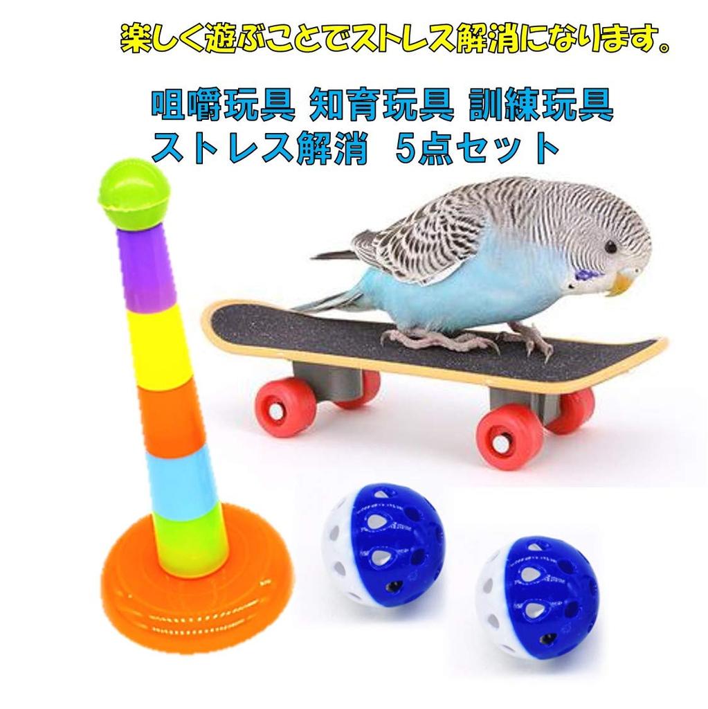 Parakeet Bird Small Toy Bird Toy Set of 5 Chew Toy Educational Toy Training Toy Stress Relief (ST TS)