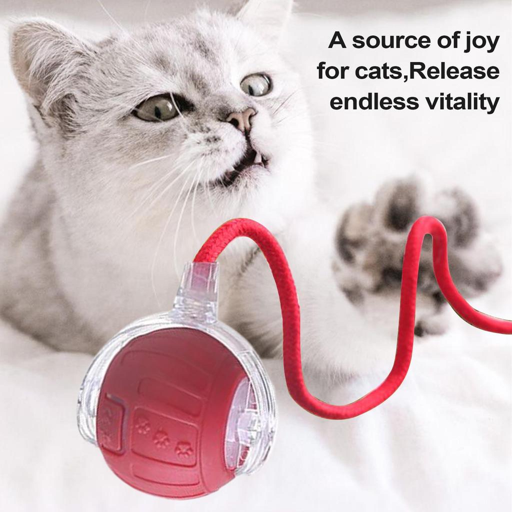 Interactive Cat Toy Ball Automatic Rolling Toy for Indoor Cats Electric Smart Ball with Tail Rope for Kitten Hunting Simulation