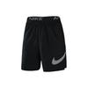 Sports Shorts Men's Black Moderate DQ4800-010